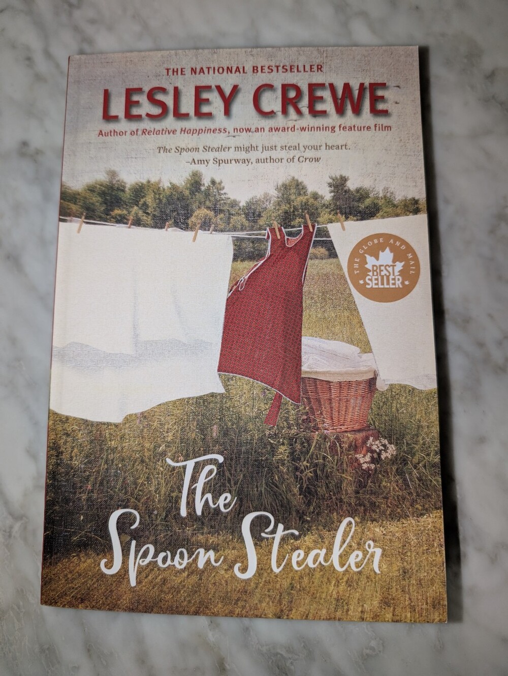 🥄 "The Spoon Stealer" Novel By Lesley Crewe Historical Fiction Softcover Book